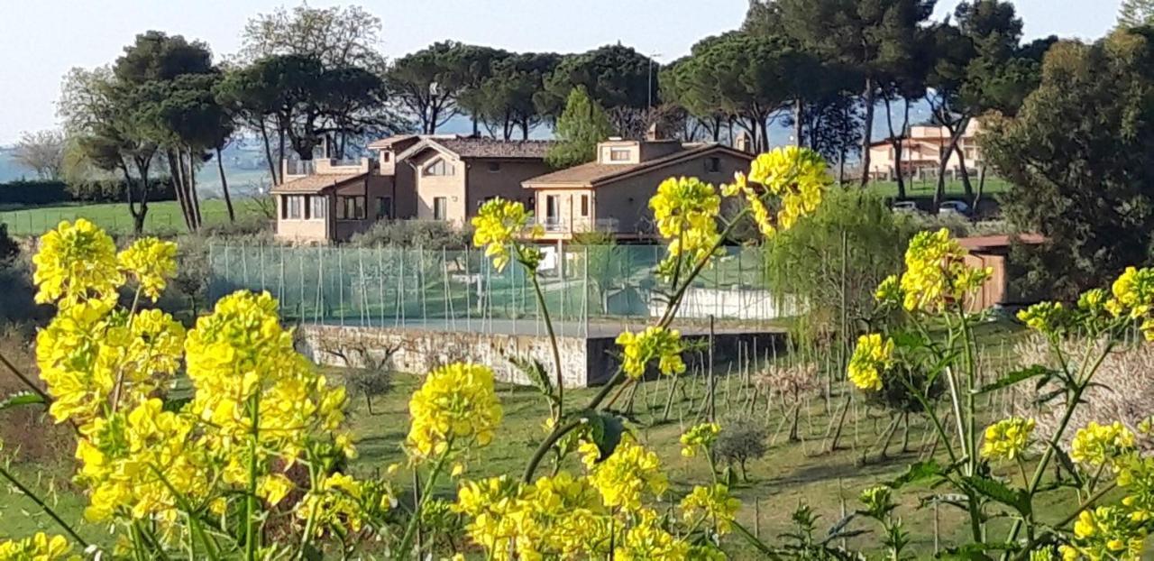 La Casa Nella Prateria Bed & Breakfast Misano Adriatico Dış mekan fotoğraf